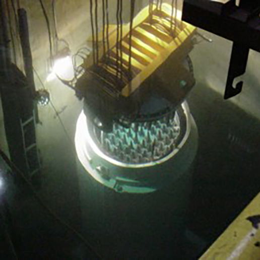 Cask adaptor crane in nuclear power plant